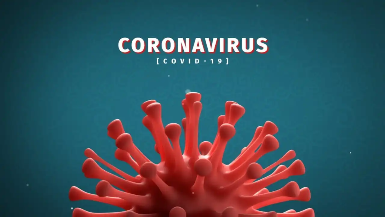 Coronavirus restrictions for turkey travellers