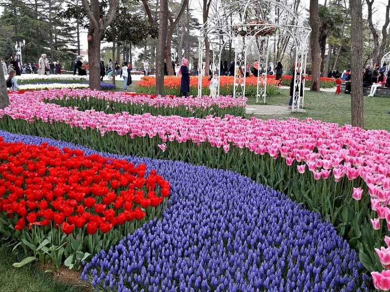 Tulip Festival in Gulhane Parks in Istanbul