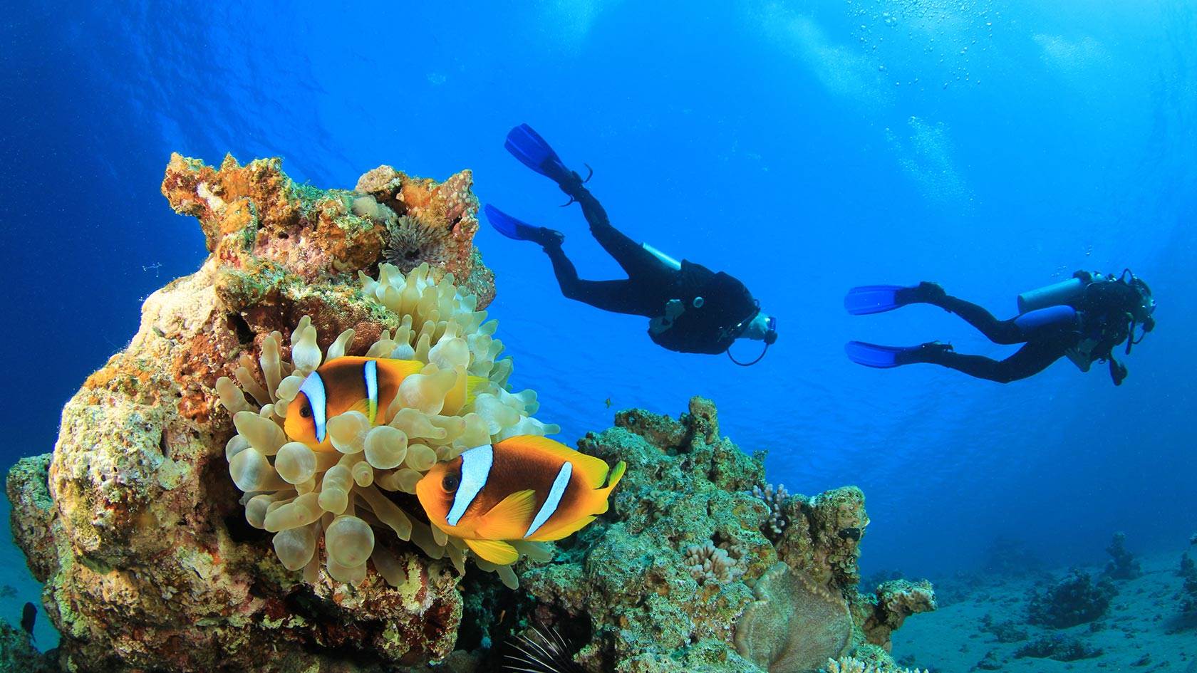 Best diving sites in Turkey