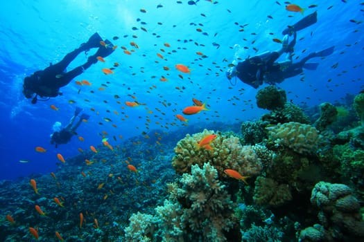 Beautifu view under the sea in Turkey