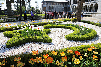 Istanbul Spring - Tulip Festival