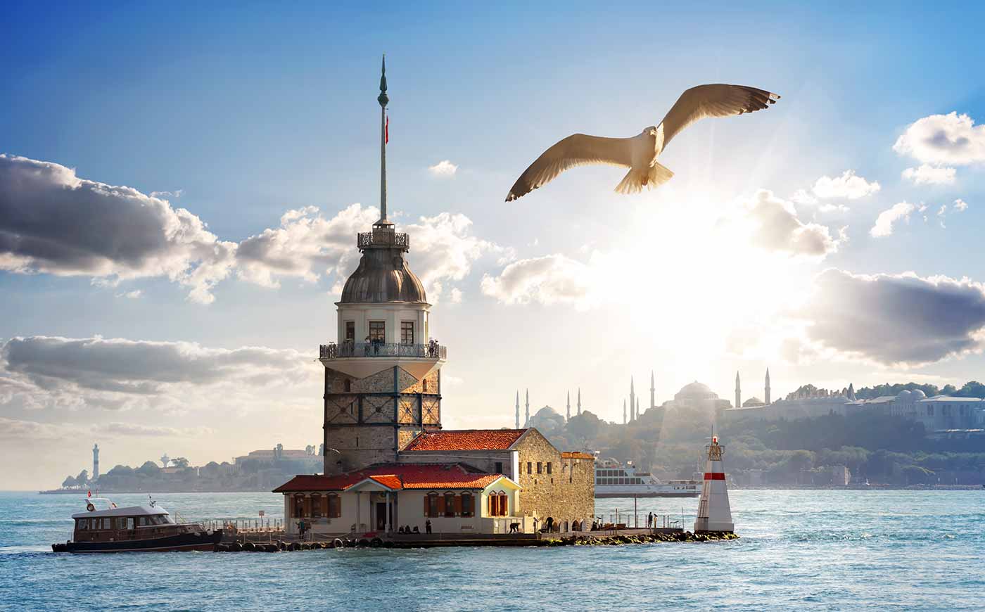 Maiden Tower and Seagul in Turkey