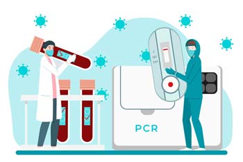 PCR Test 