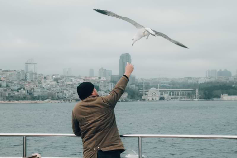 man throwing simit to seagulls on public ferry istanbul europe to asia