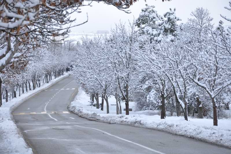 winter in turkey roads snow trees